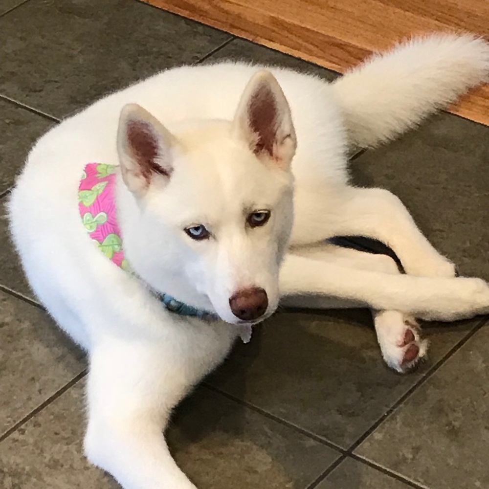 Meet your Posher, Emily